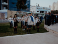 ALEX4353