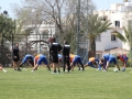 IMG_6238_1280x853